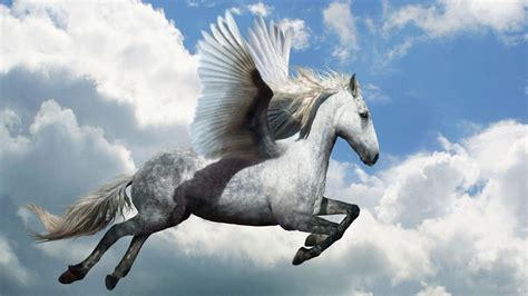 Flying Horse brabet